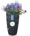 YourCasa Regentonne 240 Liter [Seabreeze Flower] Anthrazit mit Wasserhahn - Grau