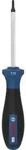 PRO Schraubendreher TX10 x 75 mm