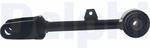 DELPHI TC4595 Querlenker Hinten Oben f&uuml;r TESLA Model Y (5YJY) Schr&auml;glenker