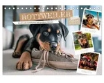 Rottweiler - Kraftvolle Gef&auml;hrten mit gro&szlig;em Herzen (Tischkalender 2027 DIN A5