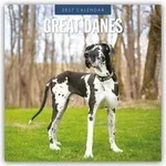 Great Danes - Deutsche Dogge 2027 - 16-Monatskalender