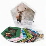 Sounds of Nature Box Xmas Edition