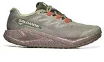 Schuhe Salomon Aero Blaze 3 Grvl GTX L47978500 - Braun - 43 1/3