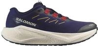 Laufschuhe Salomon Aero Blaze 3 Grvl W "Astral Aura / Maritime Blue / Haute...