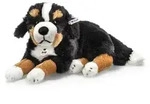 Steiff Senni Berner Sennenhund 45 liegend 079528 - Schwarz/Braun/Wei&szlig;