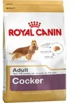 Royal Canin Cocker Adult, Adult, Cockerspaniel, Mittelgro&szlig; (11-25 kg), Mais,