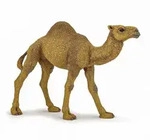 Papo Wild Life Dromedar Spielfigur 50151 &ndash; detailreich handbemalt &ndash; ca. 15x5x10,5