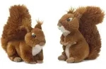 WWF Eichh&ouml;rnchen - Braun
