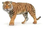 Tigre maschio Papo cod. 50004 PAPO Altersgruppe: +3 Jahre alt