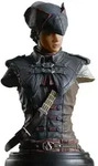 Assassin's Creed Aveline B&uuml;ste - Bunt