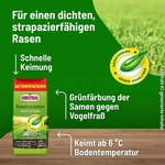 Substral Rasensamen Sport und Spiel, strapazierf&auml;hige Rasensaat-Mischung, 10kg,