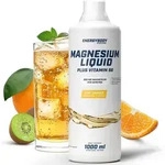 Energybody Systems Magnesium Liquid, Magnesium Fl&uuml;ssig hochdosiert, fl&uuml;ssiges