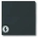 Busch-Jaeger 2118 GKSL-35, Anthrazit, IP 44 - Grau