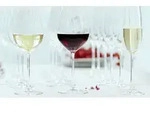 Spiegelau 4720175, Champagnerglas, 210 ml, Glas, Transparent, 5,3 cm, 245 mm -