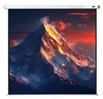 celexon Leinwand Rollo Economy 160 x 160 cm - 89"