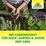 Neudorff KirschmadenFalle - 7 insektizidfreie Leimfallen - sch&uuml;tzt Kirschen und