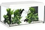 Aquarium aquatlantis Advance 60 mit LED-Beleuchtung, Filter, Heizer ohne Unterschrank