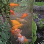 Ubbink Fischtower 100 - Schwarz