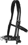 Kerbl Kappzaum Reitsport Leder Exklusiv Schwarz Warmblut Gebissriemen...