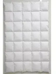 Centa-star extra Kassettendecke "Golf von Alaska" Daunen/Feder 2 cm hohe Stege -