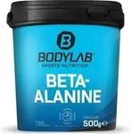Beta-Alanin Pulver 500g &ndash; 100% rein, ohne Zucker & Fett, vegan, f&uuml;r Sportler