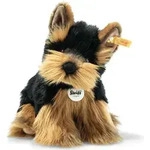 Herkules Yorkshire Terrier 24