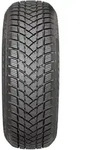 GT Radial Winterreifen motorcycle-tyres Champiro Winterpro 2 ( 195/65 R15 95T XL )