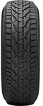 Taurus Winterreifen motorcycle-tyres Winter ( 205/55 R17 95V XL )