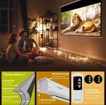 ESMART Professional MIMOTO GRAU | Tageslicht-Motorleinwand | 221 x 125 cm...