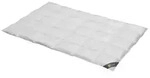 Daunendecke 155x220 cm 100 % G&auml;nsedaunen Bettdecke Steppdecke Daunen SPESSARTTRAUM