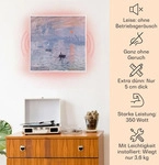 Klarstein Infrarotheizung mit Thermostat, 350W Elektroheizung, Smart Home