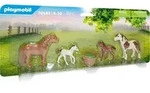 Ponys mit Fohlen - Bunt
