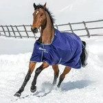Bucas Smartex Turnout Extra Classic 300g Weidedecke - Blau