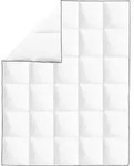 vidaXL Winter-Daunendecke 2 Stk. 150x200 cm - Wei&szlig;
