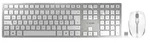 CHERRY DW 9100 SLIM, Kabellos, RF Wireless + Bluetooth, AZERTY, Silber, Maus