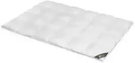Daunendecke 200x220 cm 100 % G&auml;nsedaunen Extra warme Bettdecke Steppdecke...