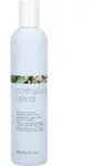 Milk_Shake Shampoo Scalpcare Normalizing Blend Shampoo
