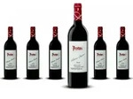 Roble 2021 Ribera del Duero | Spanien | 14,5% vol | 0,75 l