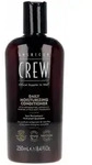 American Crew Daily Moisture Conditioner 250ml, Haarpflege ohne Silikone