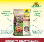 Neudorff UrgesteinsMehl - 20 kg f&uuml;r 200 m2 erh&ouml;ht Bodenfruchtbarkeit