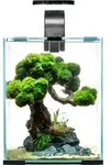Aquael Shrimp Set Day&Night 20L Schwarz - Aquarien-Set