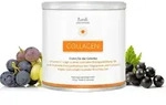 PlantaVis Collagen Pulver gutes f&uuml;r die Gelenke, 300 g Pulver