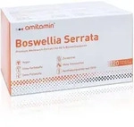 Amitamin Boswellia Serrata Weihrauch Kapseln 120 St