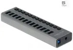 DeLOCK Externer USB 5 Gbps Hub mit 13 Ports + Schalter, USB 3.2 Gen 1 (3.1 Gen 1)