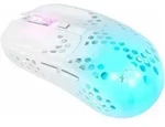 Cherry Xtrfy MZ1 - Maus - ergonomisch - optisch - kabellos - 2.4 GHz -...