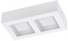 Eglo LED Wand- und Deckenleuchte, 255x140mm, weiß, 2-flammig
