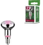 Paulmann Grow Green Edition Filament 230V LED Reflektor R50 - Silber