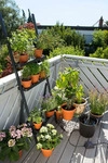 city gardening Urlaubsbew&auml;sserung (o. Beh&auml;lter)