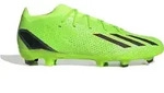 ADIDAS Adidas Herren Fu&szlig;ballschuh X SPEEDPORTAL.2 FG SGREEN/CBLACK/SYELLO 10 - Gr&uuml;n