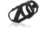 anny-x Sicherheitsgeschirr Safety schwarz M - Schwarz - M